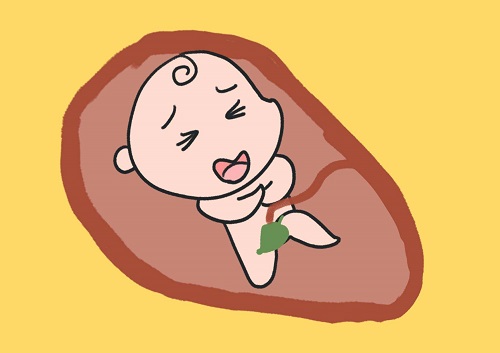 試管嬰兒女人要承受多少痛苦？子宮異常會不會影響做試管？