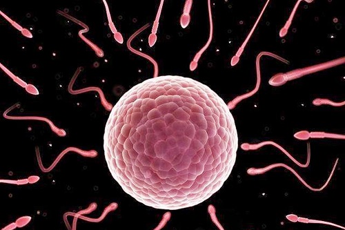 2022年30歲做試管嬰兒不成功還收費不?