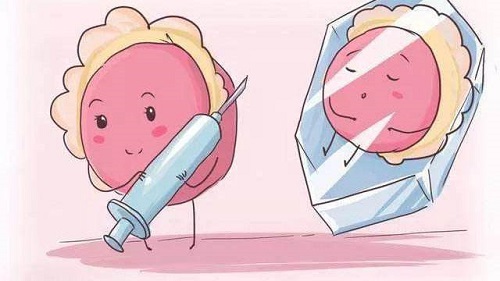 試管嬰兒怎么做？做試管前體重會升高嗎？