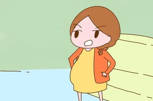 試管嬰兒的手術過程是怎樣的呢