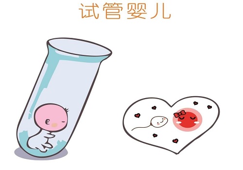 二代試管嬰兒費用大約是多少