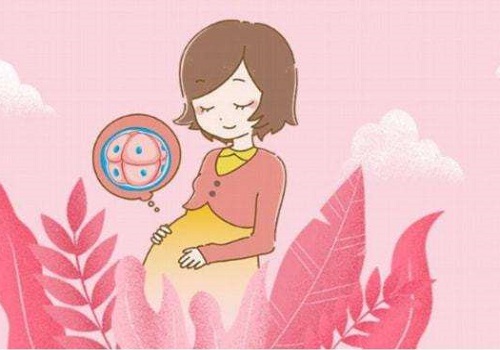 試管嬰兒的費(fèi)用高低受什么因素影響