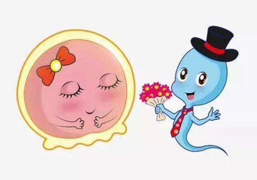 泰國(guó)試管費(fèi)用高是由哪些因素決定的