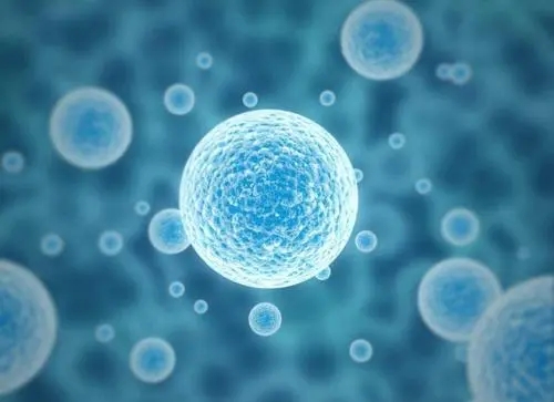 俄羅斯試管嬰兒要多少錢(qián)可以成功
