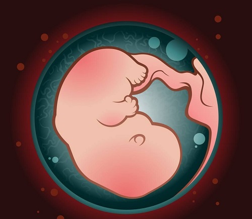 什么情況下可以做試管嬰兒