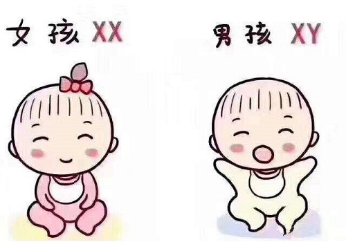 或試管嬰兒能選擇嗎