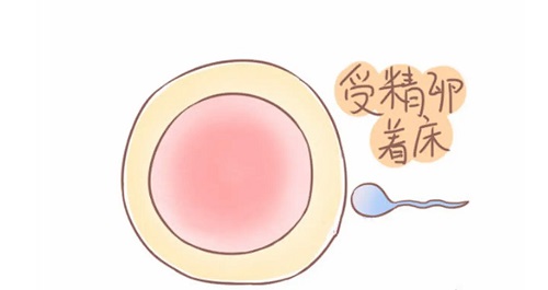 怎樣去做試管嬰兒