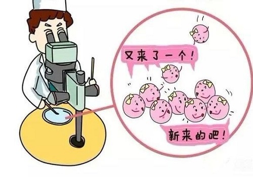泰國試管嬰兒服務中心流程