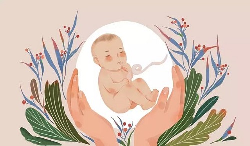 做俄羅斯試管嬰兒女性要不要戒煙
