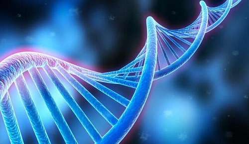 去俄羅斯做第三代試管嬰兒需要什么證件及手續
