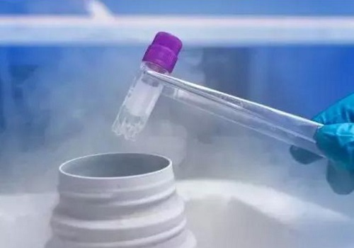 哪里做試管嬰兒的成功率最高